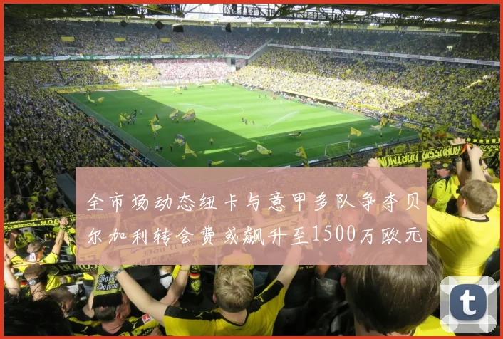 全市场动态纽卡与意甲多队争夺贝尔加利转会费或飙升至1500万欧元