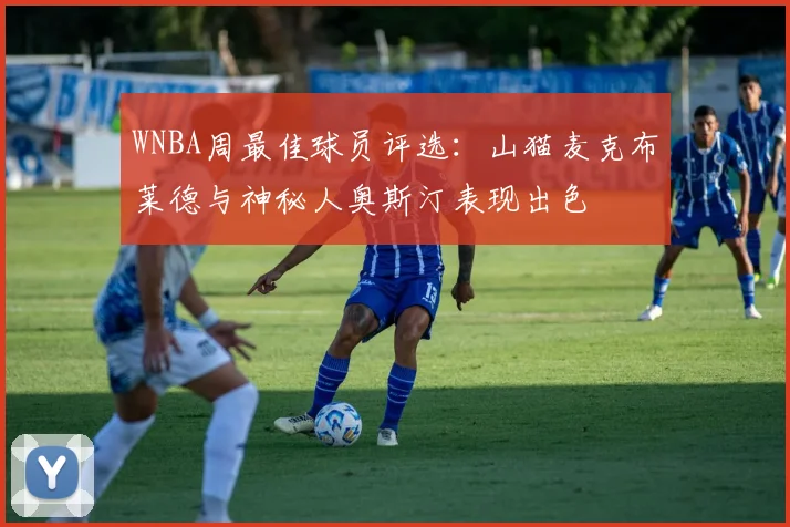 WNBA周最佳球员评选：山猫麦克布莱德与神秘人奥斯汀表现出色